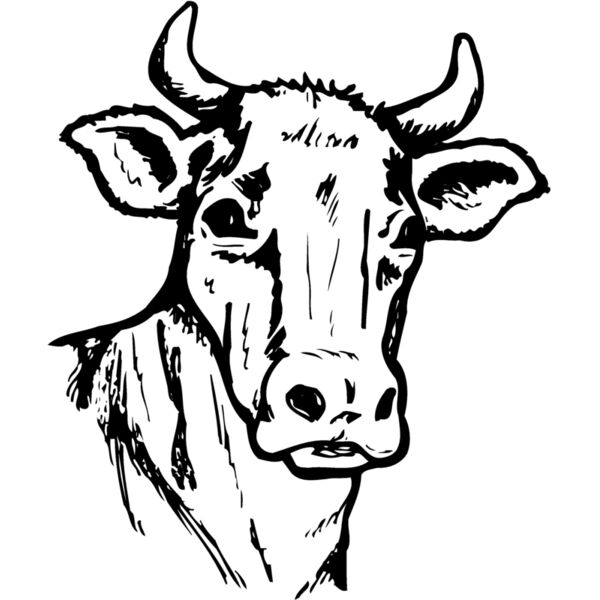 COW006 Thumbnail