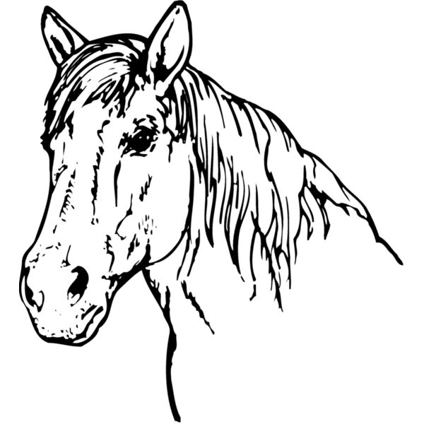 HORSE009 Thumbnail