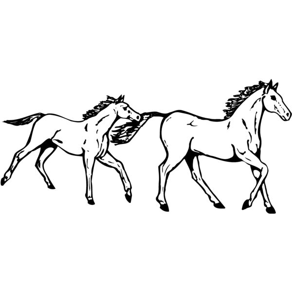 HORSE040 Thumbnail