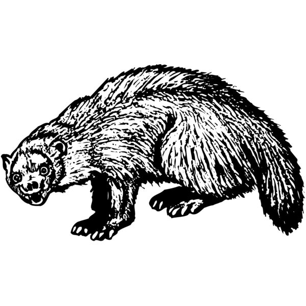 BADGER01 Thumbnail