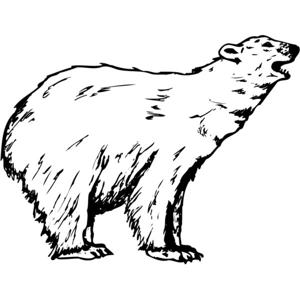 BEAR016 Thumbnail