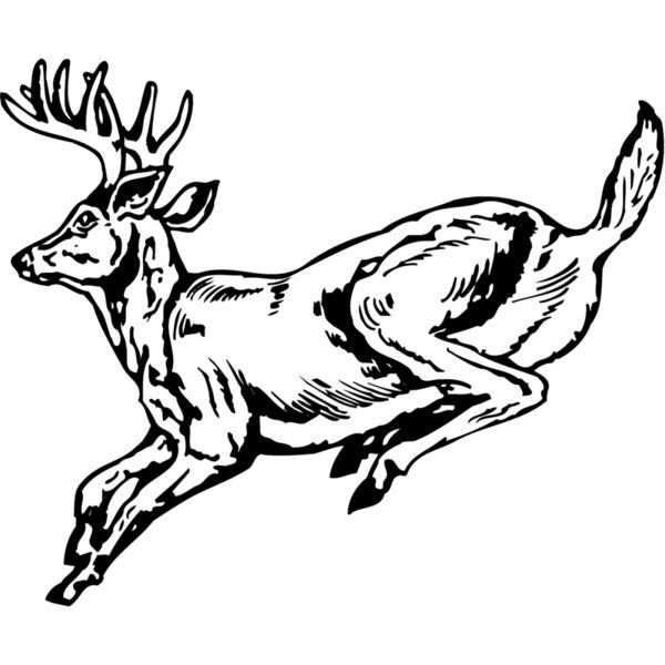 DEER027 Thumbnail