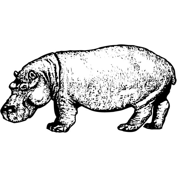 HIPPO002 Thumbnail