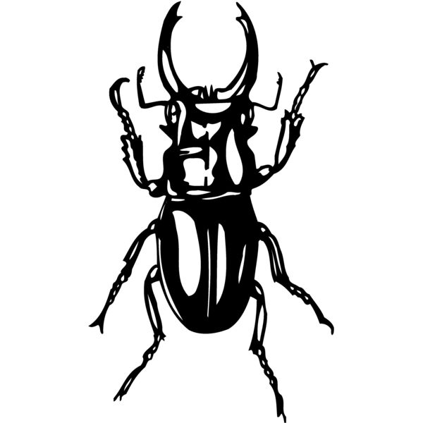 EARWIG Thumbnail