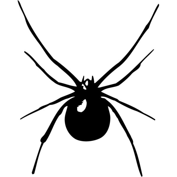 SPIDER03 Thumbnail