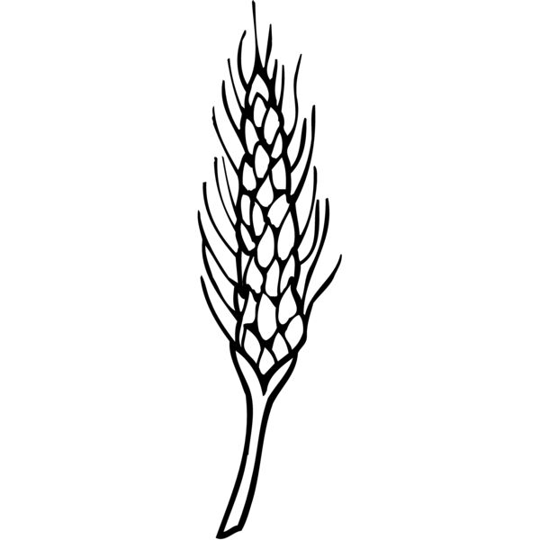 GRAIN010 Thumbnail