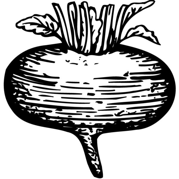VEG018 Thumbnail