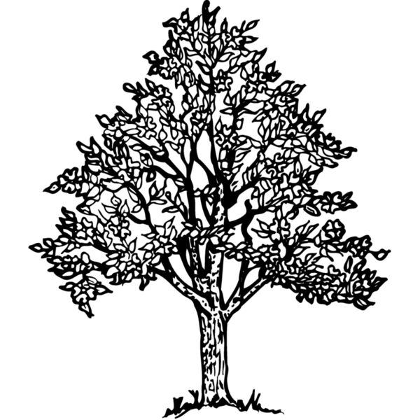 TREE0004 Thumbnail