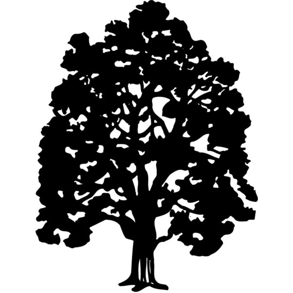 TREE0008 Thumbnail