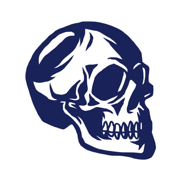 Elements Skulls logo template 139 Thumbnail