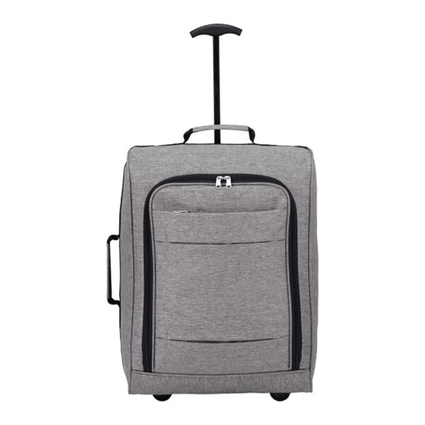 Graphite 20" Upright Luggage Thumbnail
